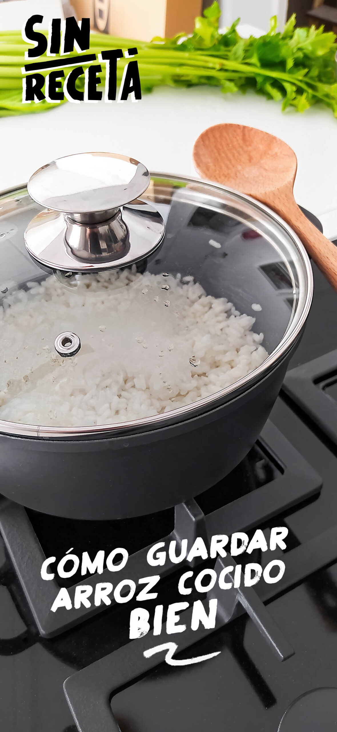 ¿Cómo mantener el arroz cocido en la nevera?
